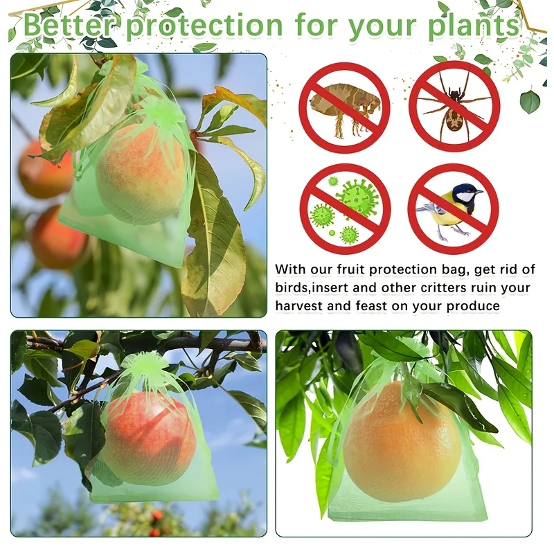 100Pcs Green Protective Bag wi - Smart Home Green ulasan dan harga