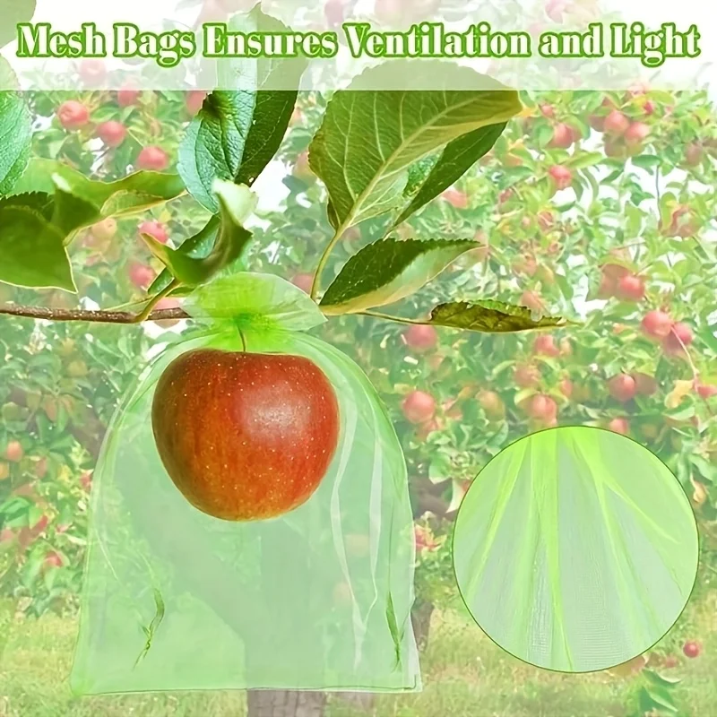 100Pcs Green Protective Bag wi - Smart Home Green ulasan dan harga