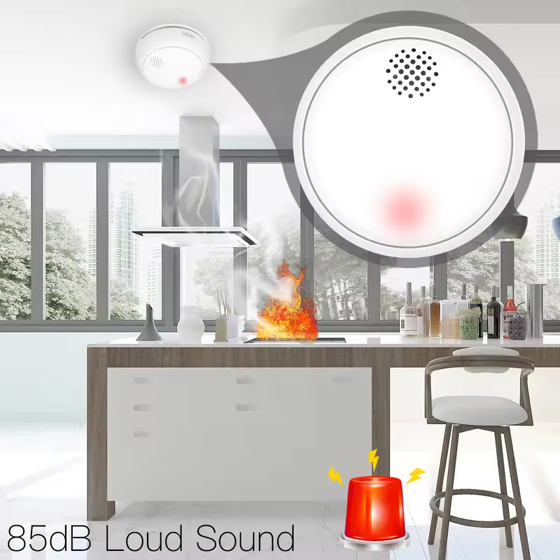 MOES ZigBee Smart Wireless Smo - Smart Home Kitchen ulasan dan harga