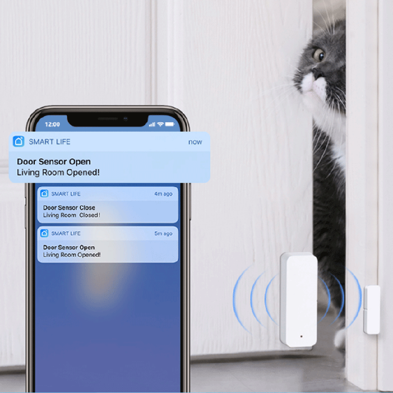 Tuya WiFi Zigbee Door Window S - Smart Home Yale ulasan dan harga