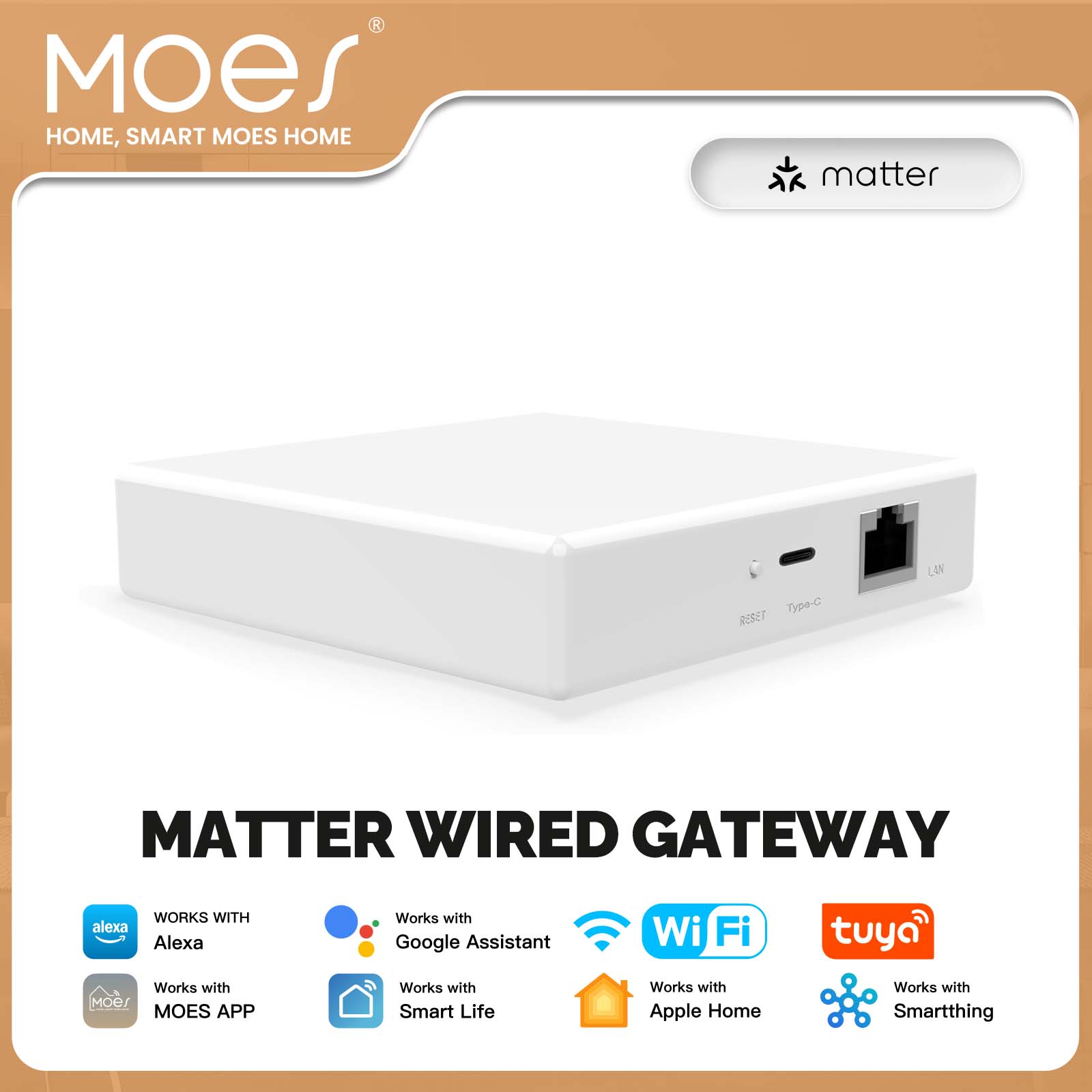 MOES Tuya ZigBee Matter Thread - Smart Home Hub Matter ulasan dan harga